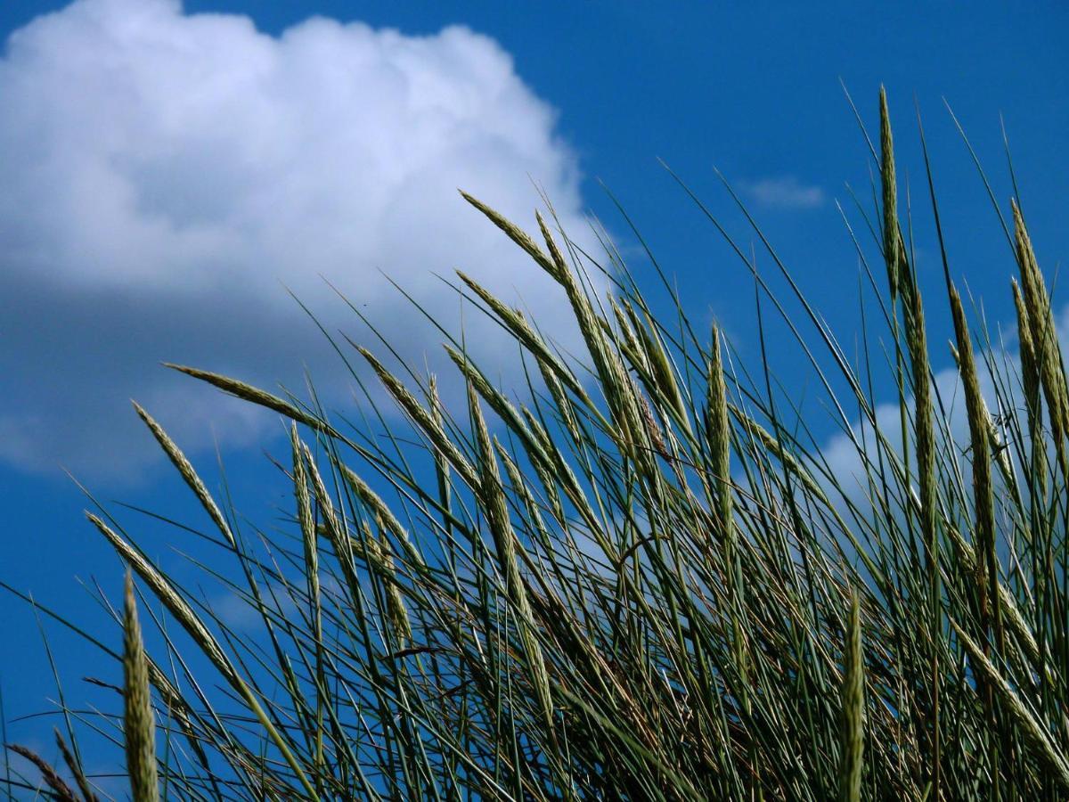 Ferienwohnung An Bord Dangast Bagian luar foto